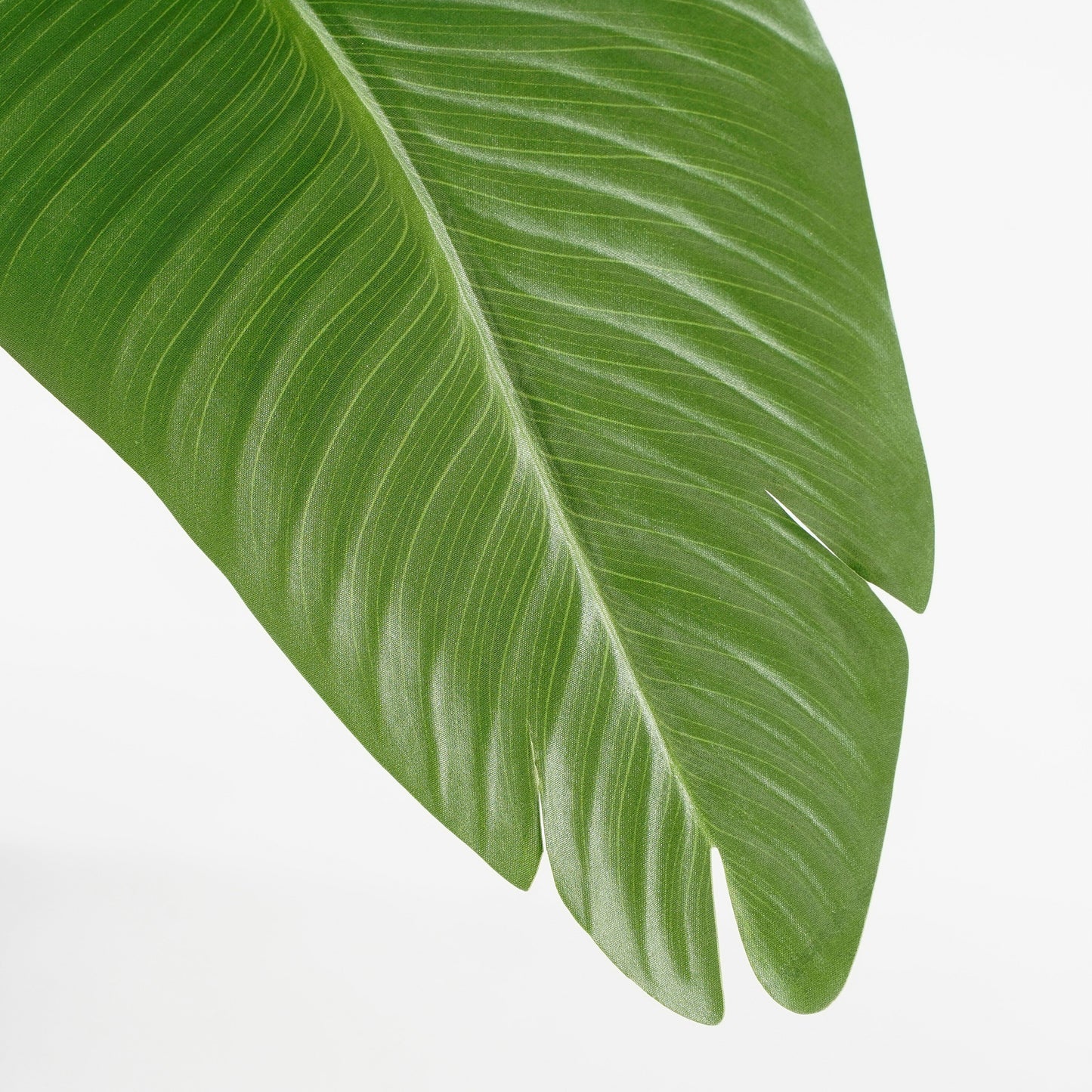 Banana Tree In Pot Green - H120Xd30Cm