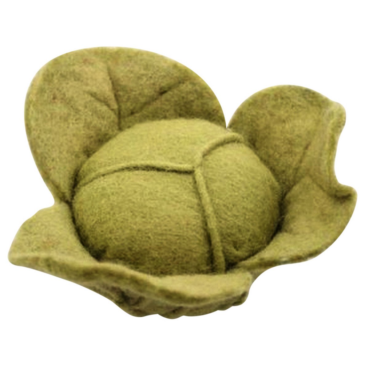 Vegetable Cabbage/Lettuce