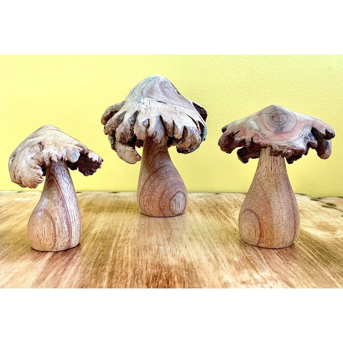 Wood Rose Mushrooms/3Pc