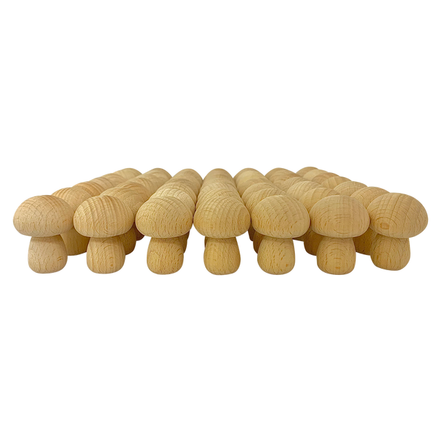 Mini Natural Mushroom/49Pc