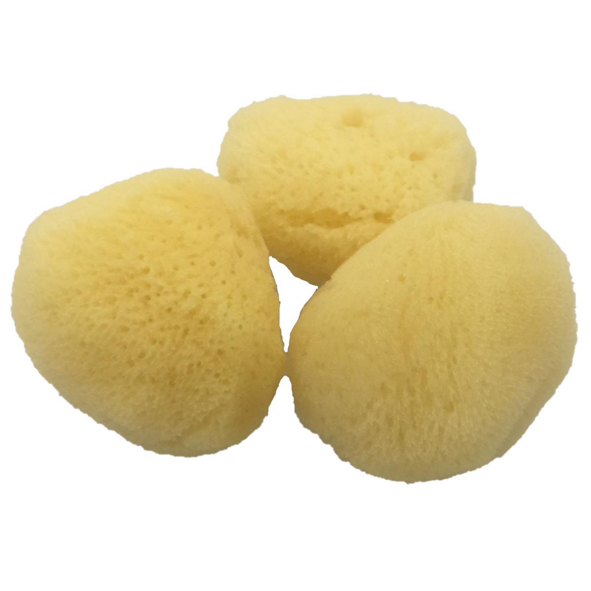 Natural Sponge 'Silk' 6Cm/3Pc