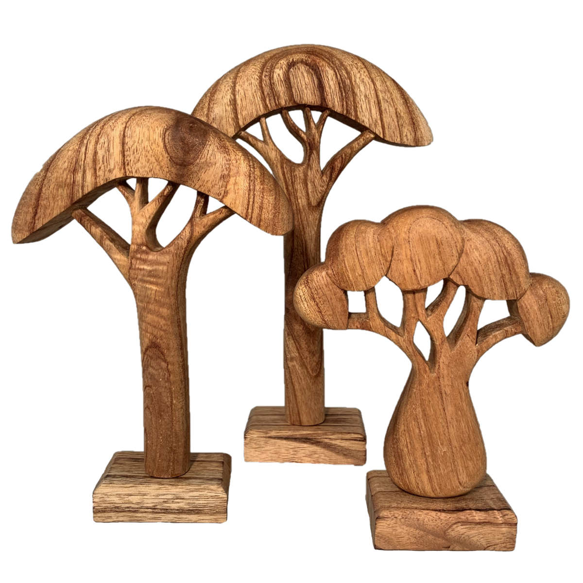 African Trees Natural/ 3Pc