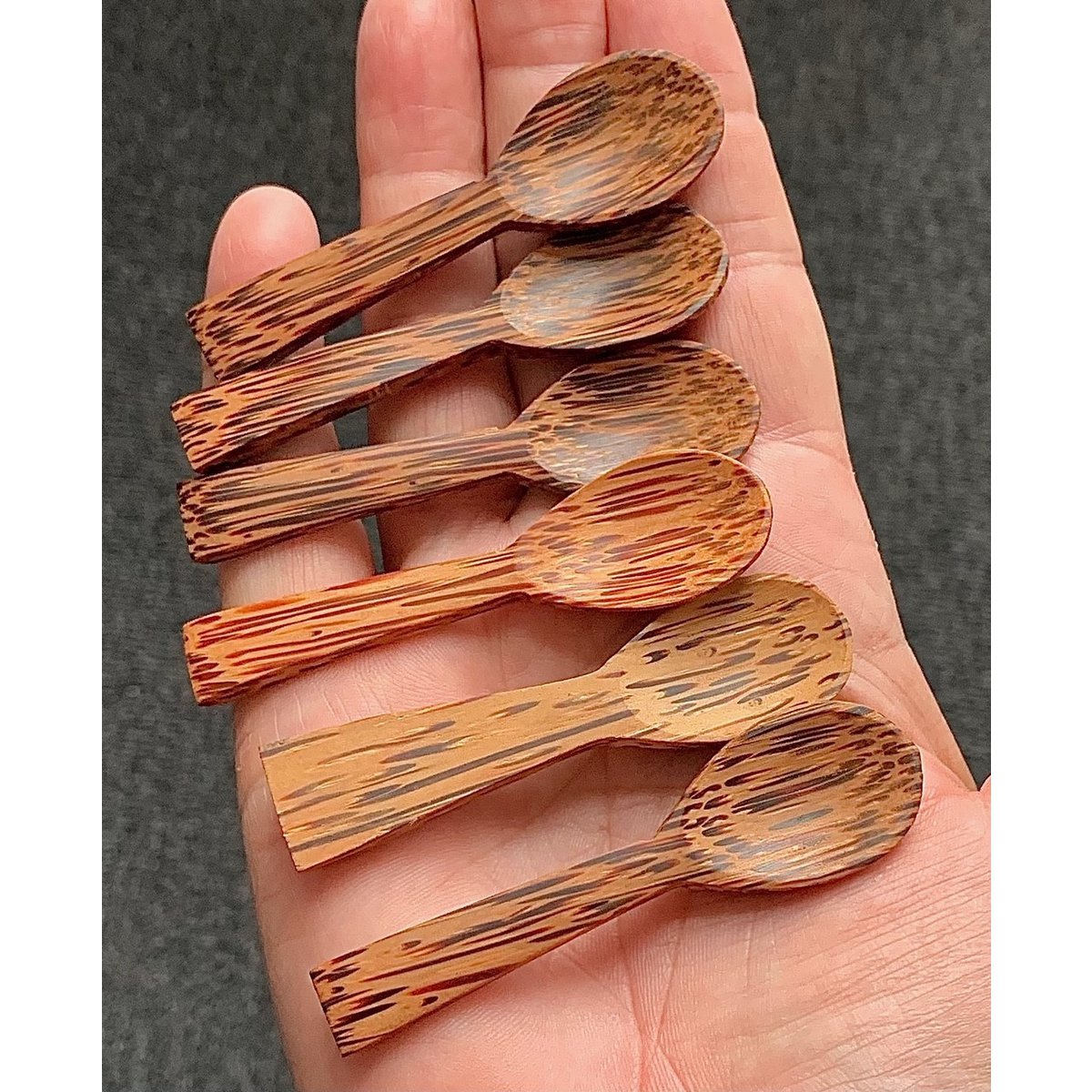 Coconut Spoons/6Pc