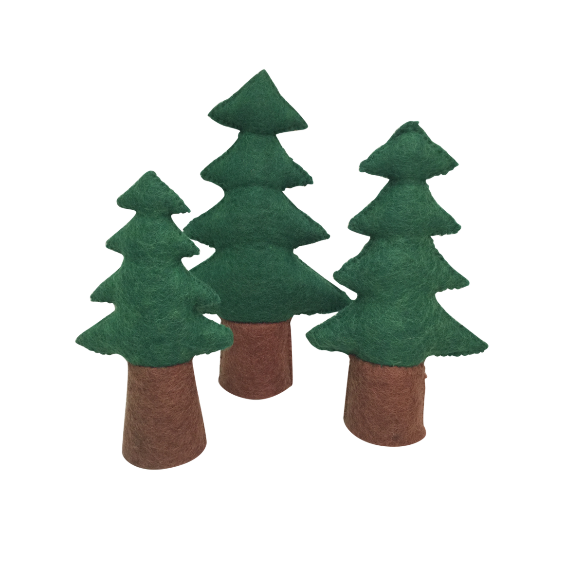 Pine Trees/3