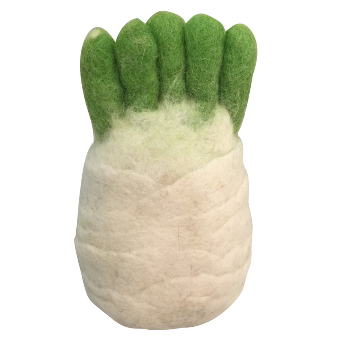 Vegetable Fennel