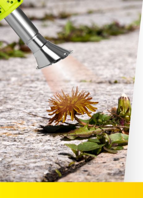 Weed Burner 2000W 230V 98Cm