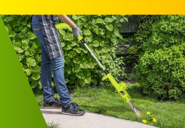 Weed Burner 2000W 230V 98Cm