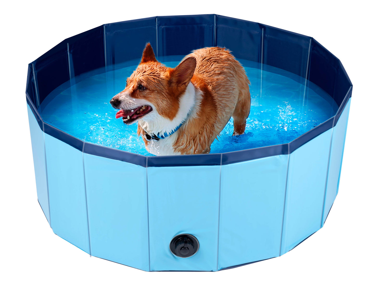 Dog Swimming Pool Small
