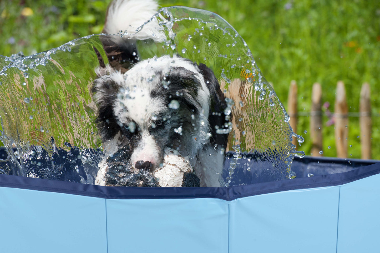Dog Swimming Pool Medium