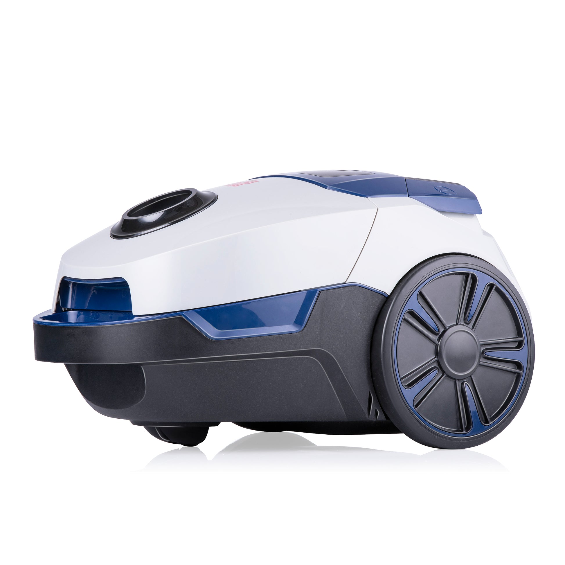 Vacuum Cleaner Bag 2,5L Dd2002