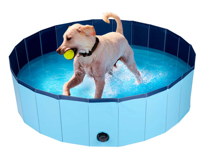 Dog Swimming Pool Medium