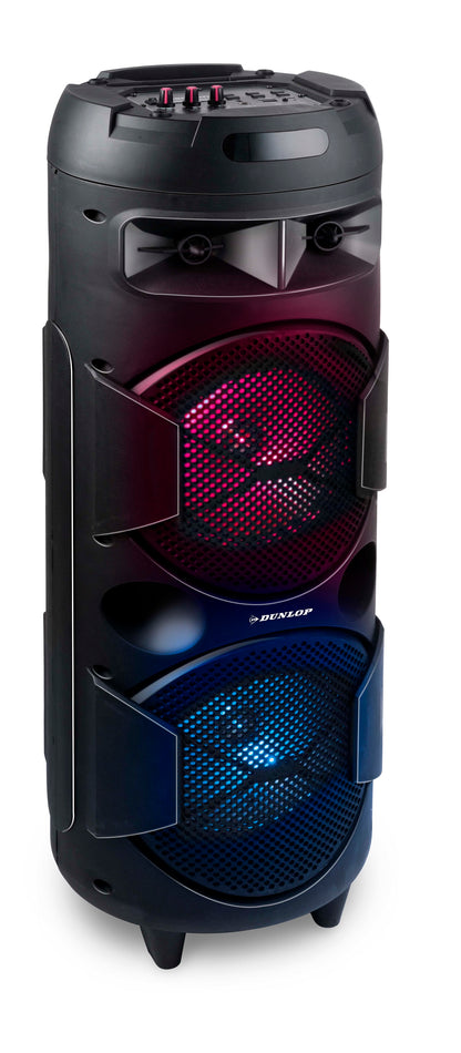 Speaker Karaoke Bt 40W