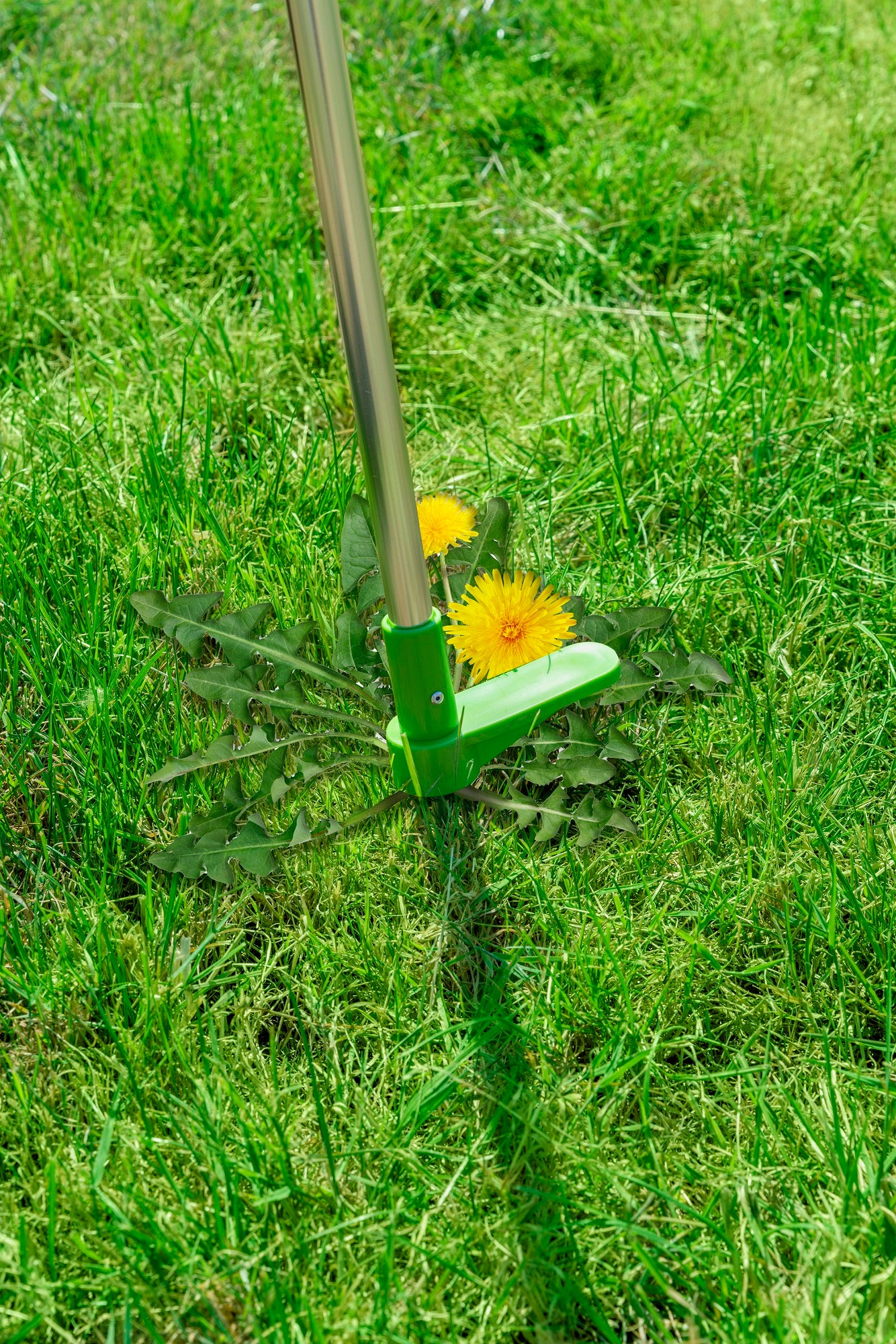 Weed Pulling Tool Al