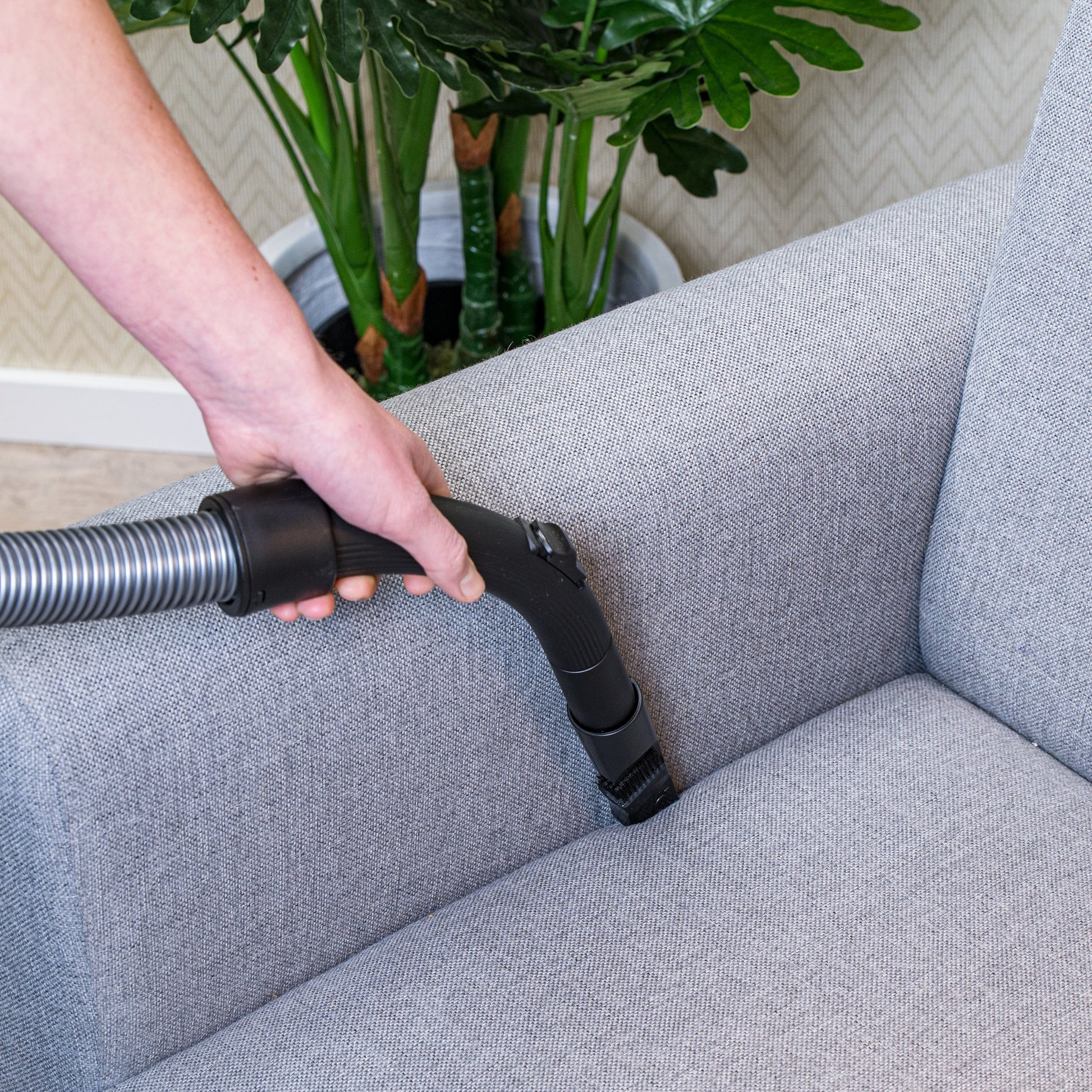 Vacuum Cleaner Bagless Dd2502