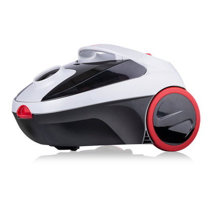 Vacuum Cleaner Bag 2,0L Dd2001