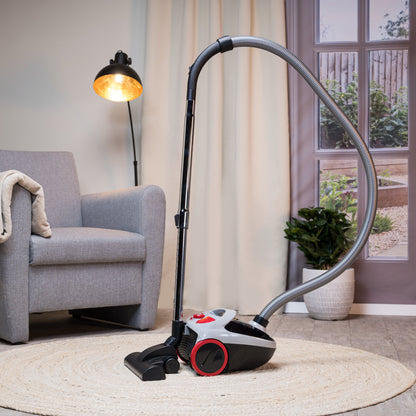 Vacuum Cleaner Bag 2,0L Dd2001