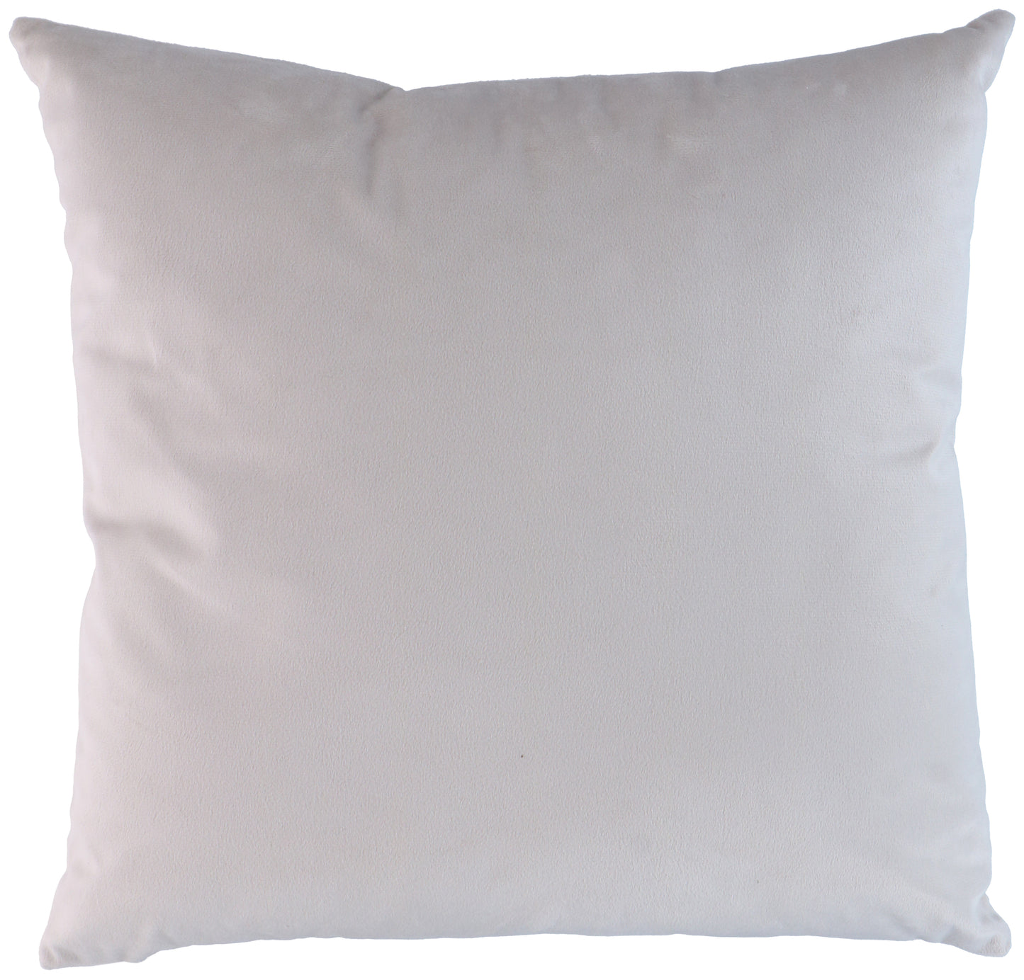 Cushion Velvet Light Grey