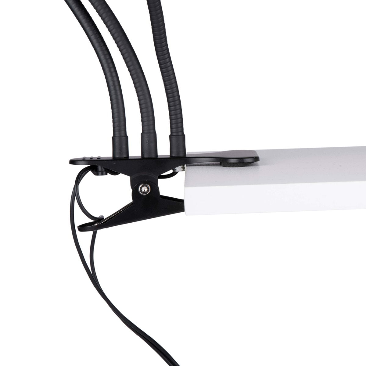 Selfie Studio 2-In-1
