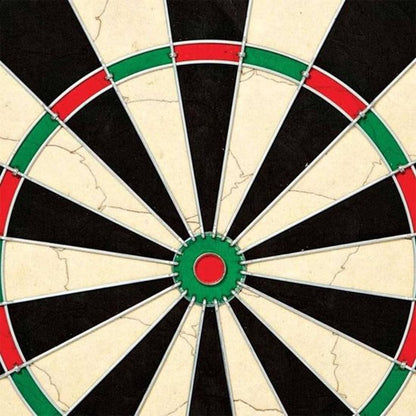 Dartboard Starterset 10Pcs