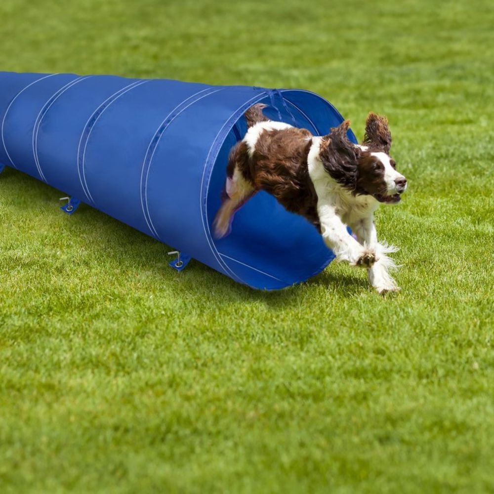 Dog Training Tunnel 3M