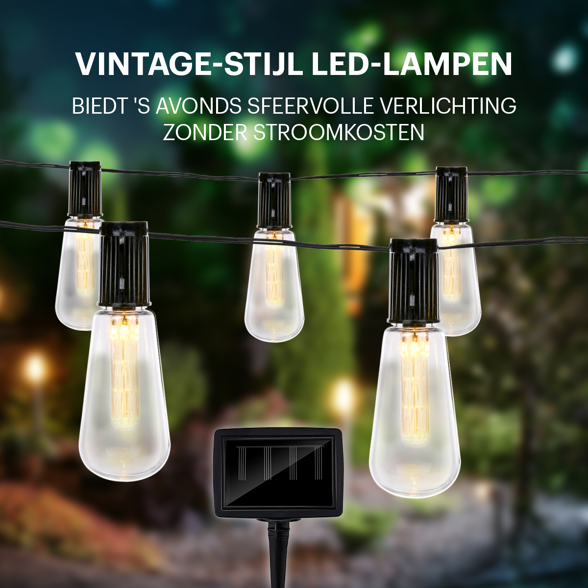 Light String Solar 10Pc