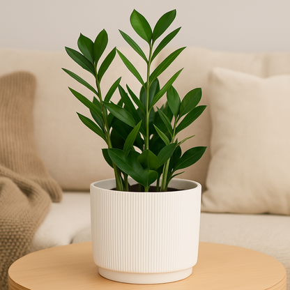 Plant Pot Stripe ⌀18X17Cm