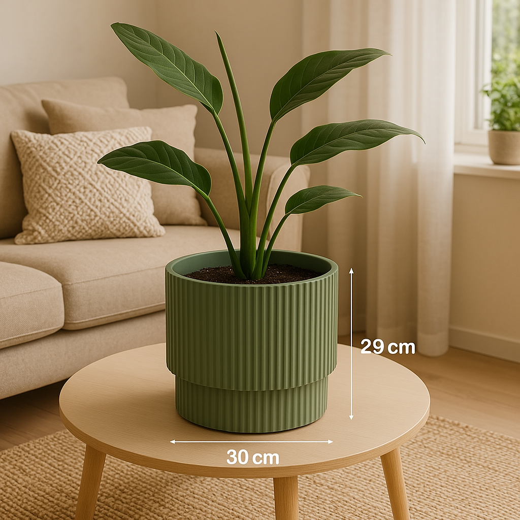 Pot Milly D30Cm Green