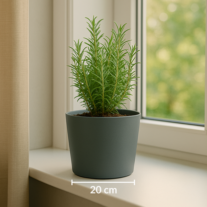 Pot Tubo Ø20 Dgrey