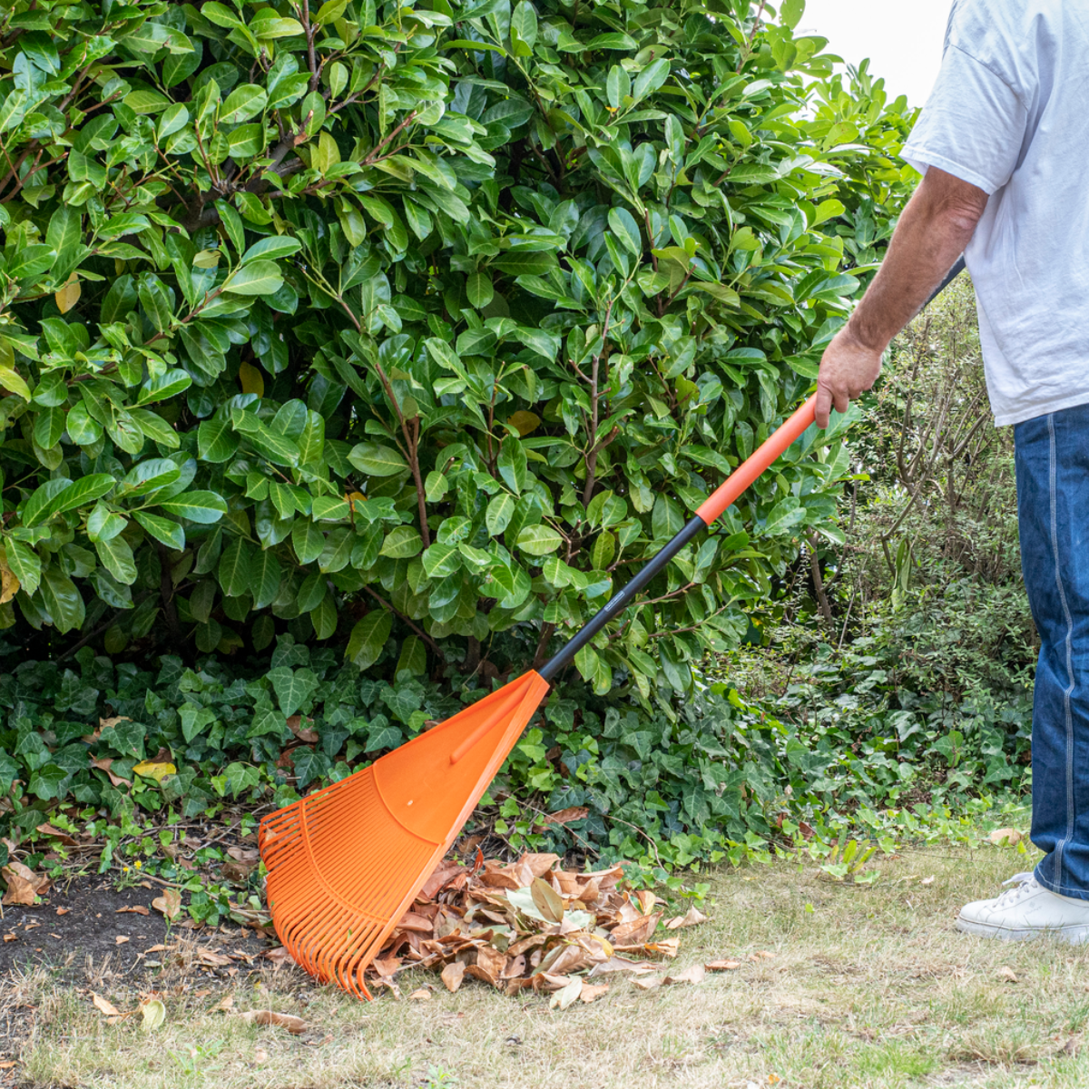 Rake Poly Fan
