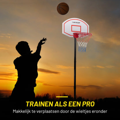 Basketball Set 74X54X165/205Cm