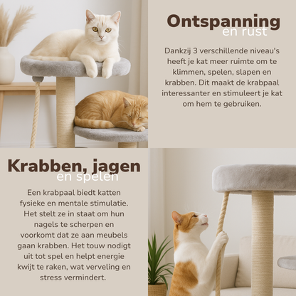 Cat Scratching Post Grey