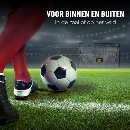 Soccer Goal