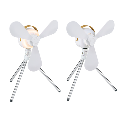 Fan Table 12Cm Usb 2000Mah