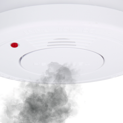 Smoke Alarm B/O Pp