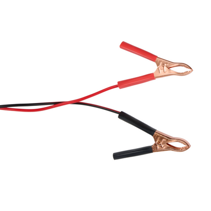 Battery Maintainer 6/12V 230V