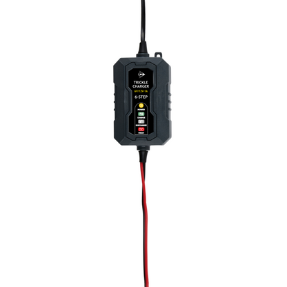 Battery Maintainer 6/12V 230V
