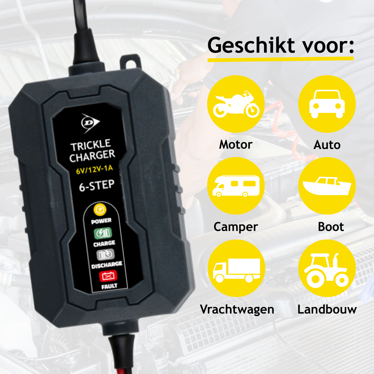 Battery Maintainer 6/12V 230V