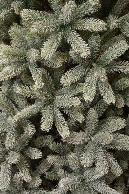 Nagoya Artificial Christmas Tree - H180 X Ø108 Cm - Green Frosted