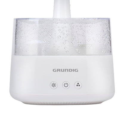 Rain Cloud Humidifier