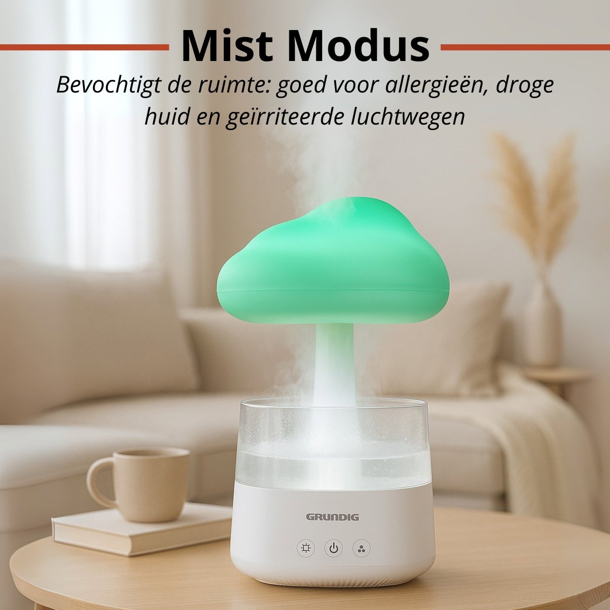 Rain Cloud Humidifier