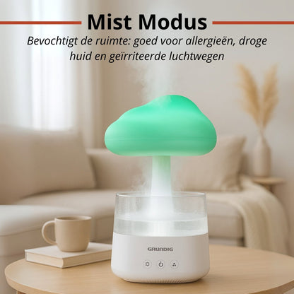 Rain Cloud Humidifier