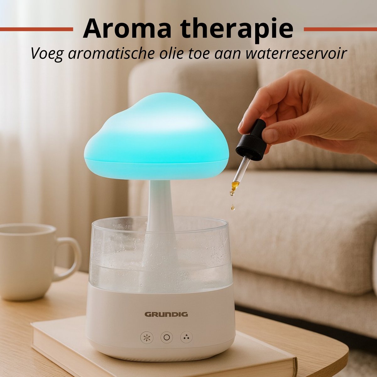 Rain Cloud Humidifier