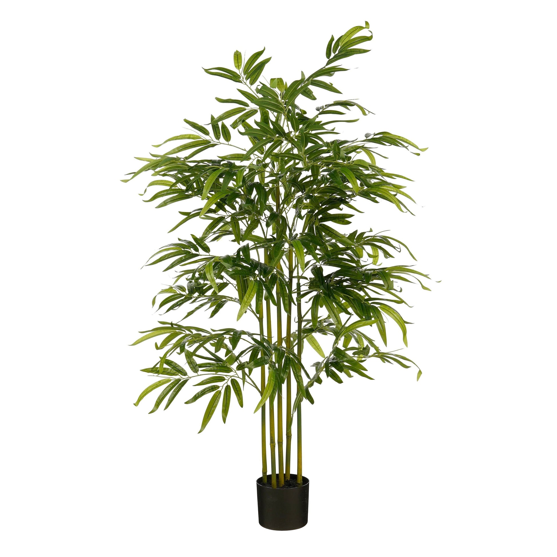 Bamboo In Pot Green Waterproof & Uv Resistant - H150Xd60Cm