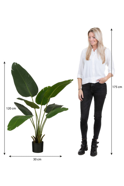 Banana Tree In Pot Green - H120Xd30Cm
