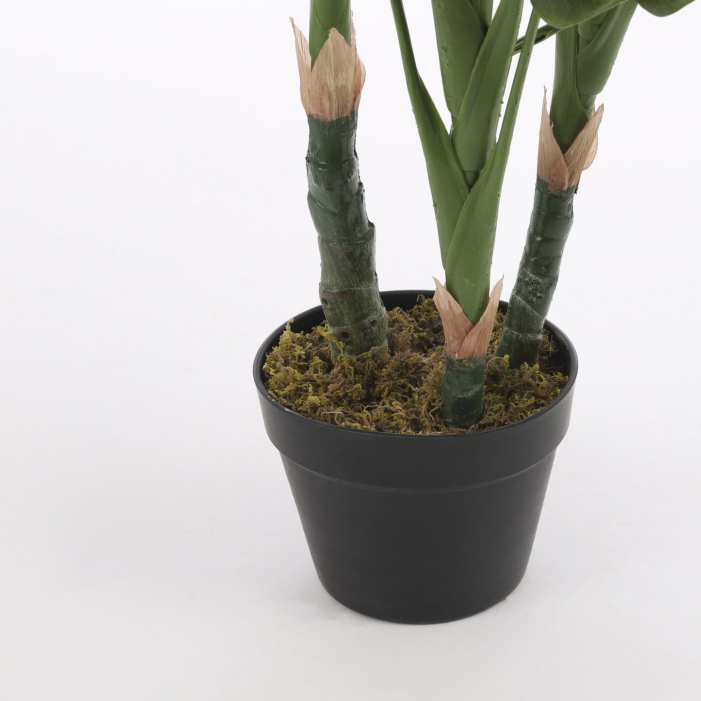 Monstera In Pot Green - H100Xd75Cm
