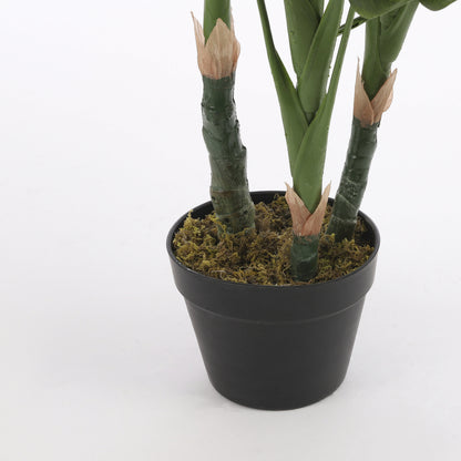 Monstera In Pot Green - H100Xd75Cm