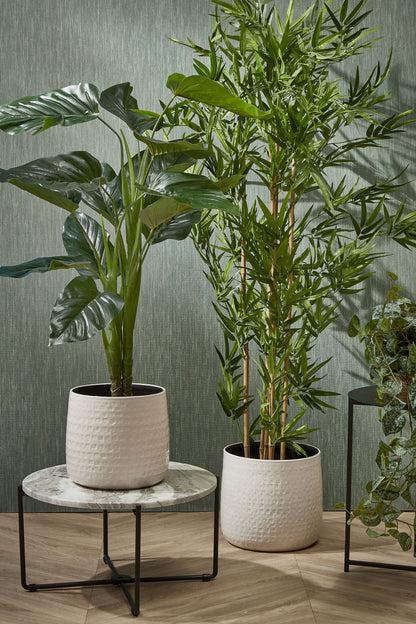 Bamboo In Pot Green - H155Xd90Cm