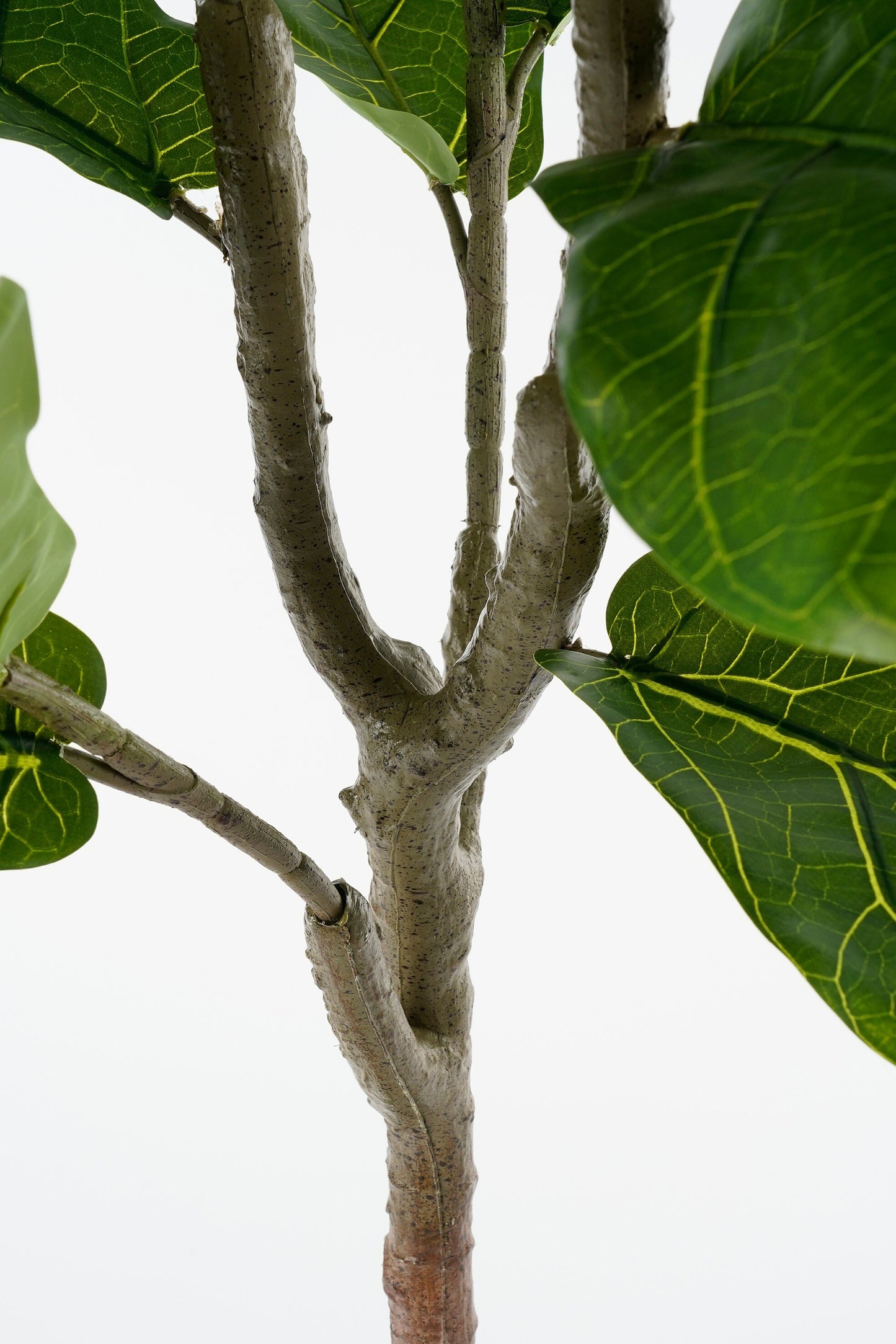 Ficus Lyrata In Pot Green Waterproof & Uv Resistant - H150Xd50Cm