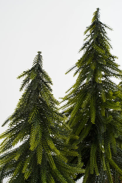 X-Mas Tree Green Tips 452 - H40Xd22Cm
