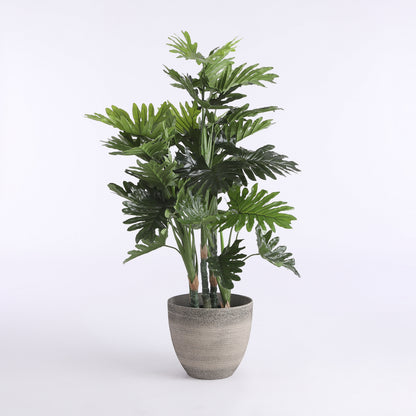 Philodendron In Plastic Pot Green - H120Xd80Cm